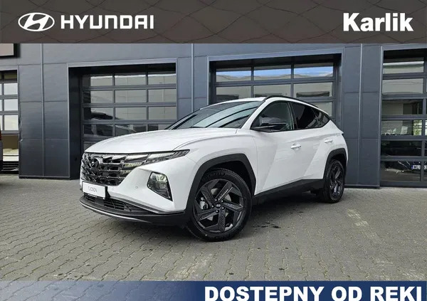 myślibórz Hyundai Tucson cena 170170 przebieg: 5, rok produkcji 2024 z Myślibórz